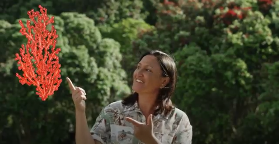 Mandy Kupenga with a coral