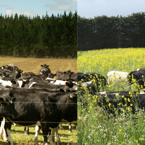 Let's transition to regenerative farming