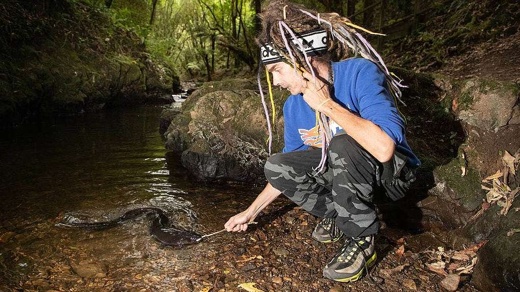 Liam has a small stick to reach out to an email in a stream, surrounded by bush