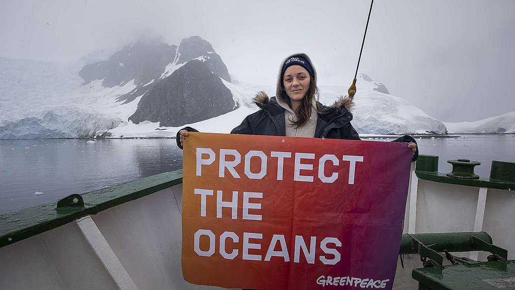 Actor Marion Cotillard holds a banner reading: 'Protect The Oceans' onboard the Arctic Sunrise