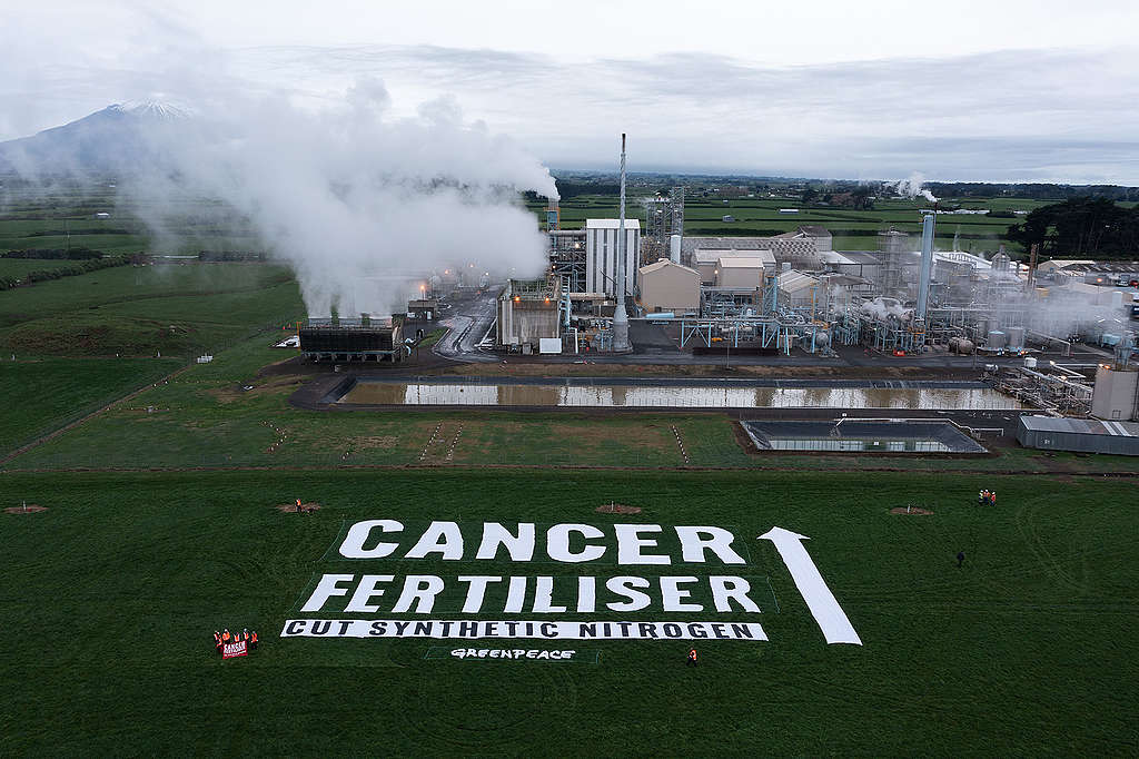 On 11 July 2022 Greenpeace Aotearoa confronted the fertiliser industry with a 1500 sq metre banner outside the Kapuni fertiliser factory in South Taranaki. The message highlights the link between synthetic nitrogen fertiliser and the cancer risk of nitrate-contaminated drinking water, and calls on the government to cut synthetic nitrogen.

The banner reads: CANCER FERTILISER - CUT SYNTHETIC NITROGEN. The largest letters are over three stories high. An arrow directs the message at the billowing stacks of the fertiliser factory.