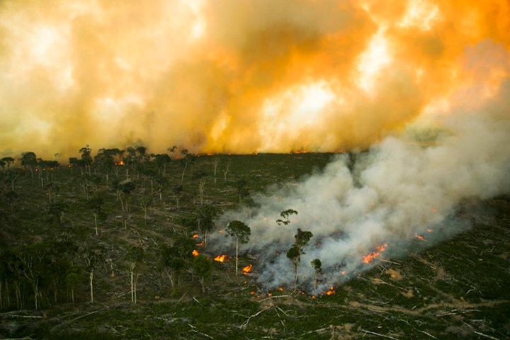 Large orange clouds of smoke and fire above a destroyed forest