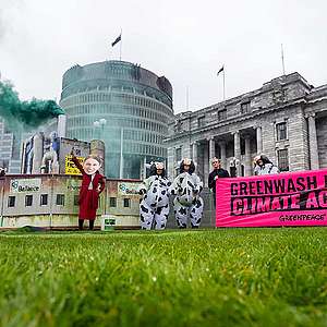 Greenwashed dairy cows on Parliament lawn highlight government inaction on climate