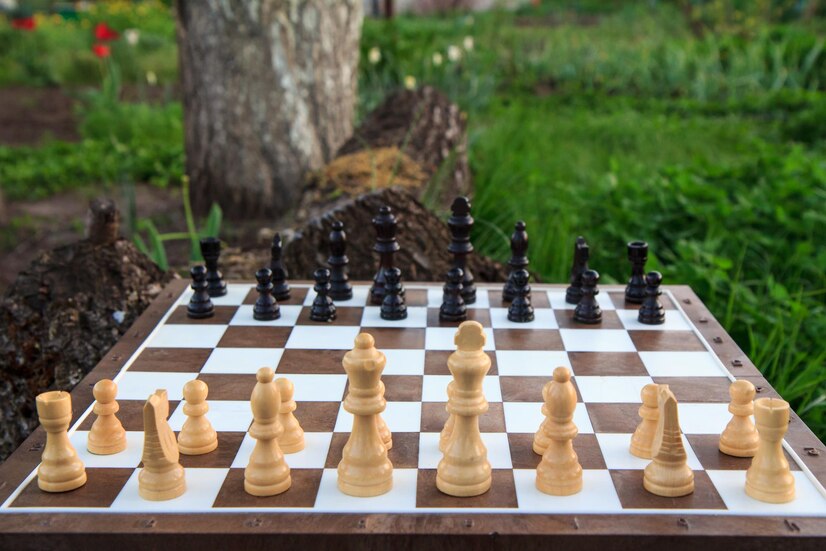 chess board outside, grass and tree in background