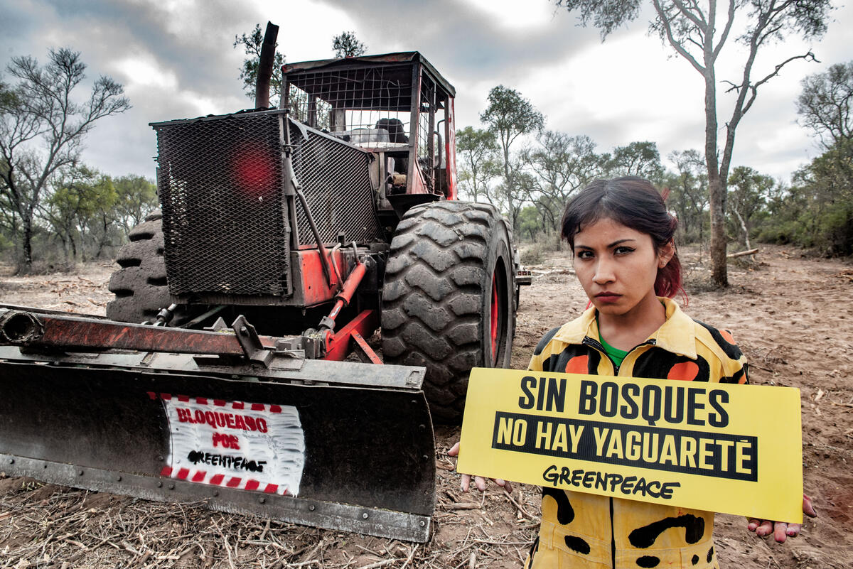 Latinx* Environmentalism: Justice, Decolonization, y un mundo verde!