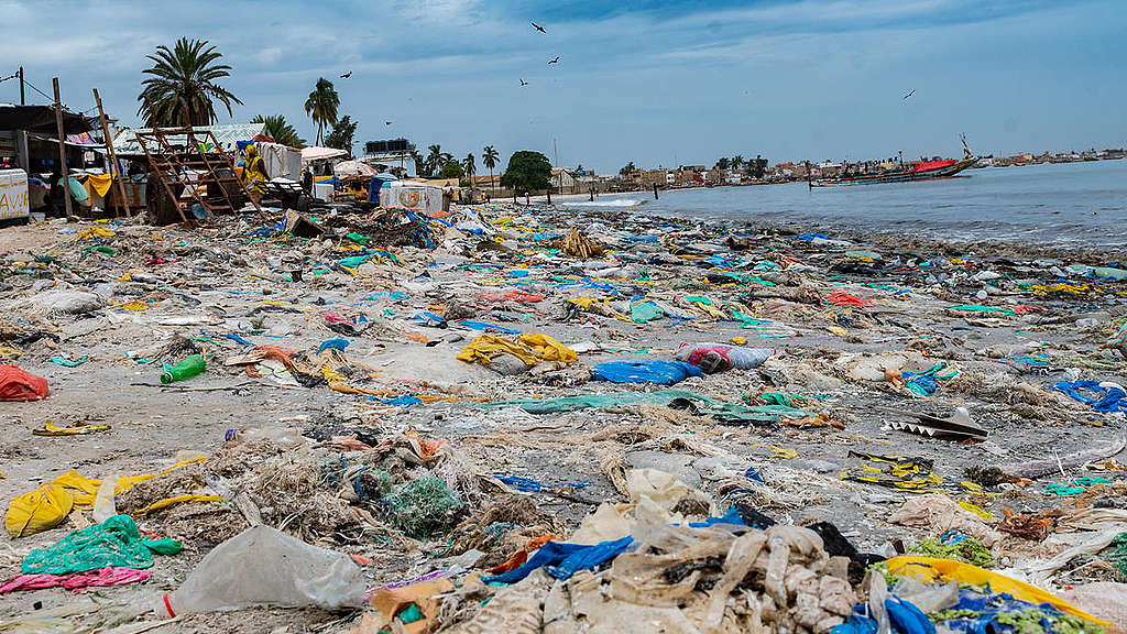 Plastics Clean up on Beach in Senegal.