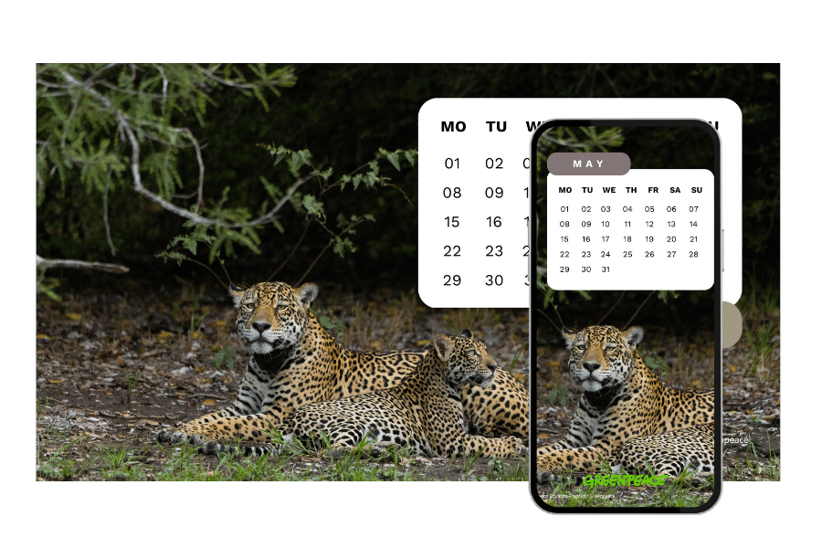 Greenpeace desktop and mobile calendar downloads