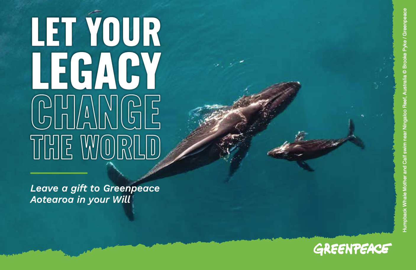 Why Donate To Greenpeace Greenpeace Aotearoa