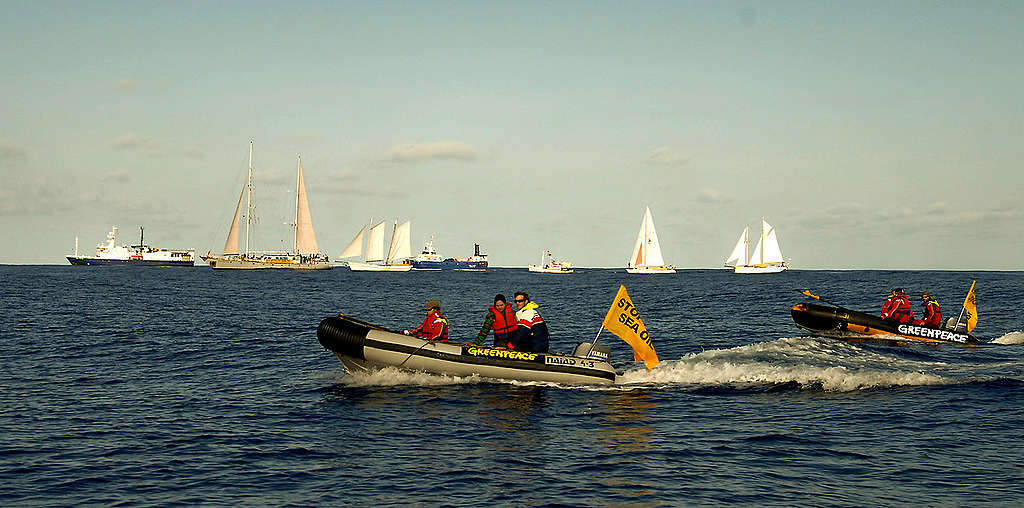 The oil free seas flotilla in the Raukumara Basin, April 2011