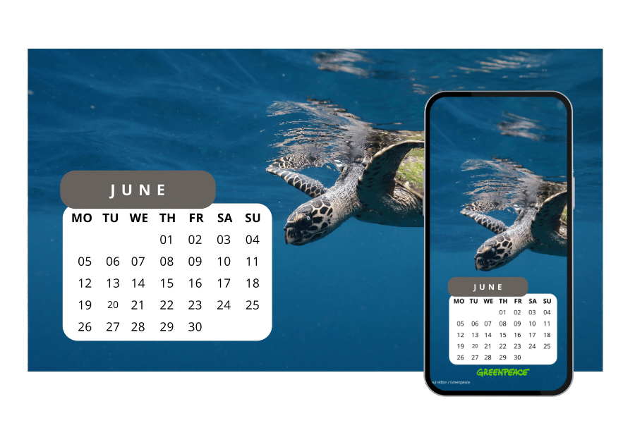 Desktop calendar download