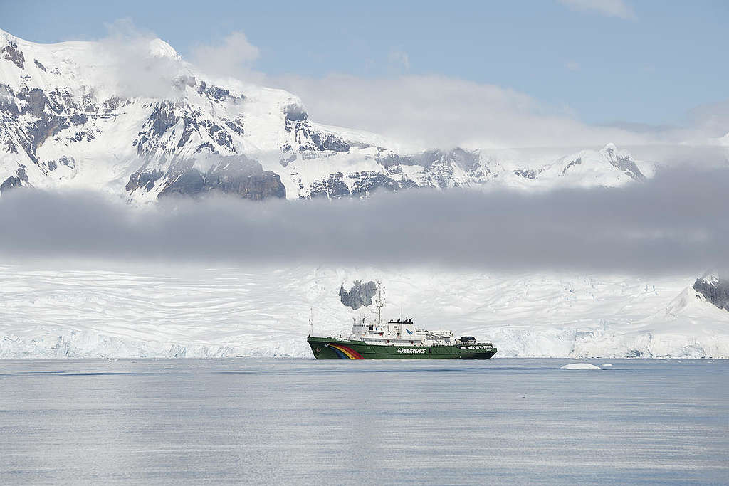 Greenpeace ship the Esperanza in Fournier Bay, Anvers Island in Antarctica.