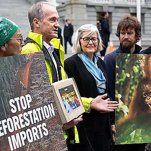 Call for halt to NZ importing products linked to deforestation