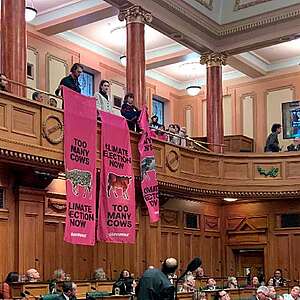Greenpeace activists drop banners from Parliament gallery, call for climate election