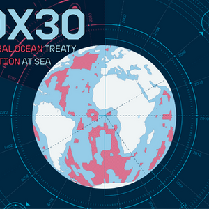 30×30: From Global Ocean Treaty to Protection at Sea