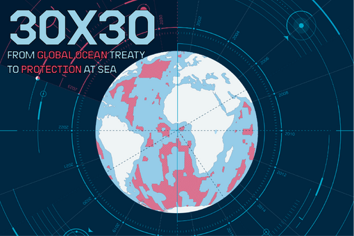 30×30: From Global Ocean Treaty to Protection at Sea