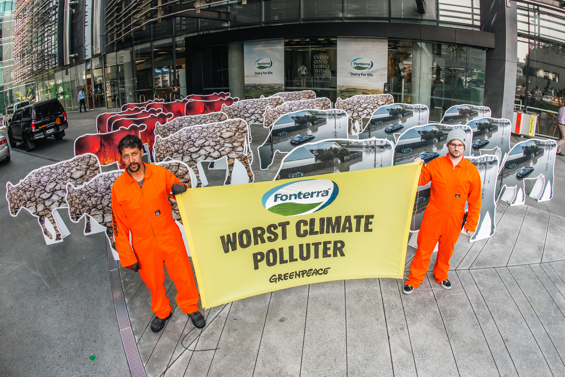 Greenpeace activists corralled a herd of ‘disaster cows’ in front of Fonterra’s Auckland HQ on the dairy giant’s annual reporting day as the dairy giant announced an increased after-tax profit of $1.577 billion compared with $583 million the previous year. The disaster cows are climate disaster images of floods, fires and droughts in the shape of cows. The banner reads Fonterra: Worst Climate Polluter.