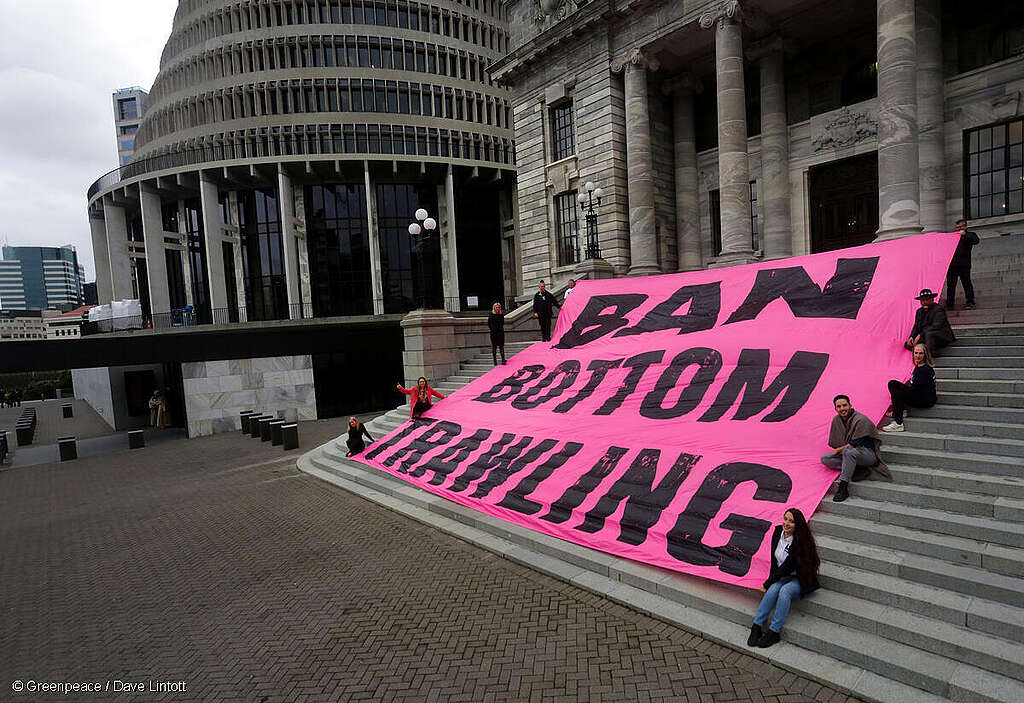 Members of the Hauraki Gulf Alliance hand in a petition calling for a ban on bottom trawling in the Hauraki Gulf, received by Green MP Eugenie Sage. Greenpeace Aotearoa Ban Bottom Trawling campaign, at NZ Parliament in Wellington, New Zealand on Thursday, 22 June 2023. 
 People present are Angie Warren-Clark (Labour Party MP), Benn Winlove (Legasea), Scott Simpson (National Party MP), Helen White (Labour MP), Bianca Ranson (Forest & Bird), Teanau Tuiono, (Green Party MP) Eugenie Sage (Green Party MP), Ellie Hooper (Greenpeace), Ricardo Menendez (Green Party MP)