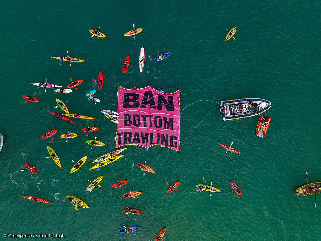 A flotilla of crafts, from fishing boats and yachts to kayaks and stand up paddle boards, surrounding a floating ‘ban bottom trawling’ banner at Mission Bay in Auckland, New Zealand in a show of opposition to bottom trawling in the Hauraki Gulf marine park. Hundreds of people turned out on the beach and on the water for the event organised by Greenpeace Aotearoa and Forest & Bird. Over 60 vessels joined the flotilla. A flotilla of crafts, from fishing boats and yachts to kayaks and stand up paddle boards, surrounding a floating ‘ban bottom trawling’ banner at Mission Bay in Auckland, New Zealand in a show of opposition to bottom trawling in the Hauraki Gulf marine park. Hundreds of people turned out on the beach and on the water for the event organised by Greenpeace Aotearoa and Forest & Bird. Over 60 vessels joined the flotilla.