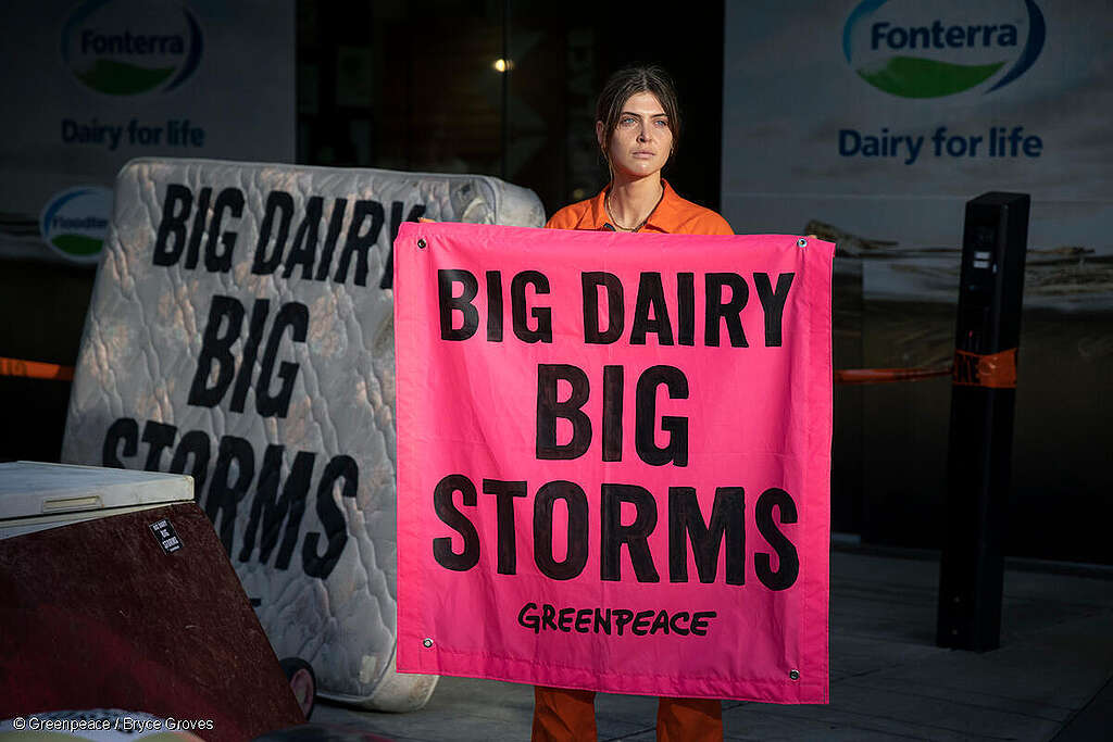 Greenpeace Aotearoa activists turn dairy giant Fonterra's Auckland HQ into flood zone in climate protest.
The activists delivered household items damaged in recent flooding from Cyclone Gabrielle and the Auckland Anniversary floods, with messages saying: Big Dairy, Big Storms.
Greenpeace is calling for the government to phase out synthetic nitrogen fertilizer, which is a key enabler of intensive dairy farming. Greenpeace is also calling for the Government to support farmers to shift to more plant-based organic regenerative farming.