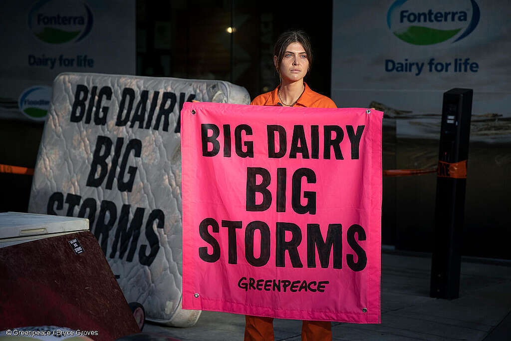 Greenpeace Aotearoa activists turn dairy giant Fonterra's Auckland HQ into flood zone in climate protest. The activists delivered household items damaged in recent flooding from Cyclone Gabrielle and the Auckland Anniversary floods, with messages saying: Big Dairy, Big Storms. Greenpeace is calling for the government to phase out synthetic nitrogen fertilizer, which is a key enabler of intensive dairy farming. Greenpeace is also calling for the Government to support farmers to shift to more plant-based organic regenerative farming. Greenpeace Aotearoa activists turn dairy giant Fonterra's Auckland HQ into flood zone in climate protest.
The activists delivered household items damaged in recent flooding from Cyclone Gabrielle and the Auckland Anniversary floods, with messages saying: Big Dairy, Big Storms.
Greenpeace is calling for the government to phase out synthetic nitrogen fertilizer, which is a key enabler of intensive dairy farming. Greenpeace is also calling for the Government to support farmers to shift to more plant-based organic regenerative farming.