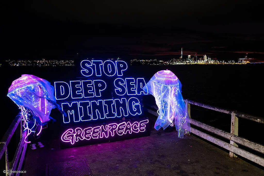 Greenpeace volunteers in Auckland hold a banner and jellyfish 'light' banner.  To highlight the irreversible damage Deep Sea Mining would cause to  the deep ocean floor – one of the last untouched ecosystems on earth,  if allowed to go ahead.

Greenpeace volunteers from around the world take part in a Global Day of Action for World Oceans Day. Calling on governments to vote against Deep Sea Mining at the July meeting at the International Seabed Authority (ISA) in Kingston, Jamaica.