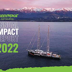 2022 Annual Impact Report