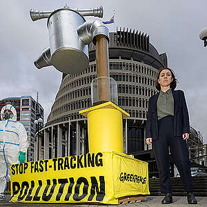 Fast track invite list includes most destructive industries in New Zealand