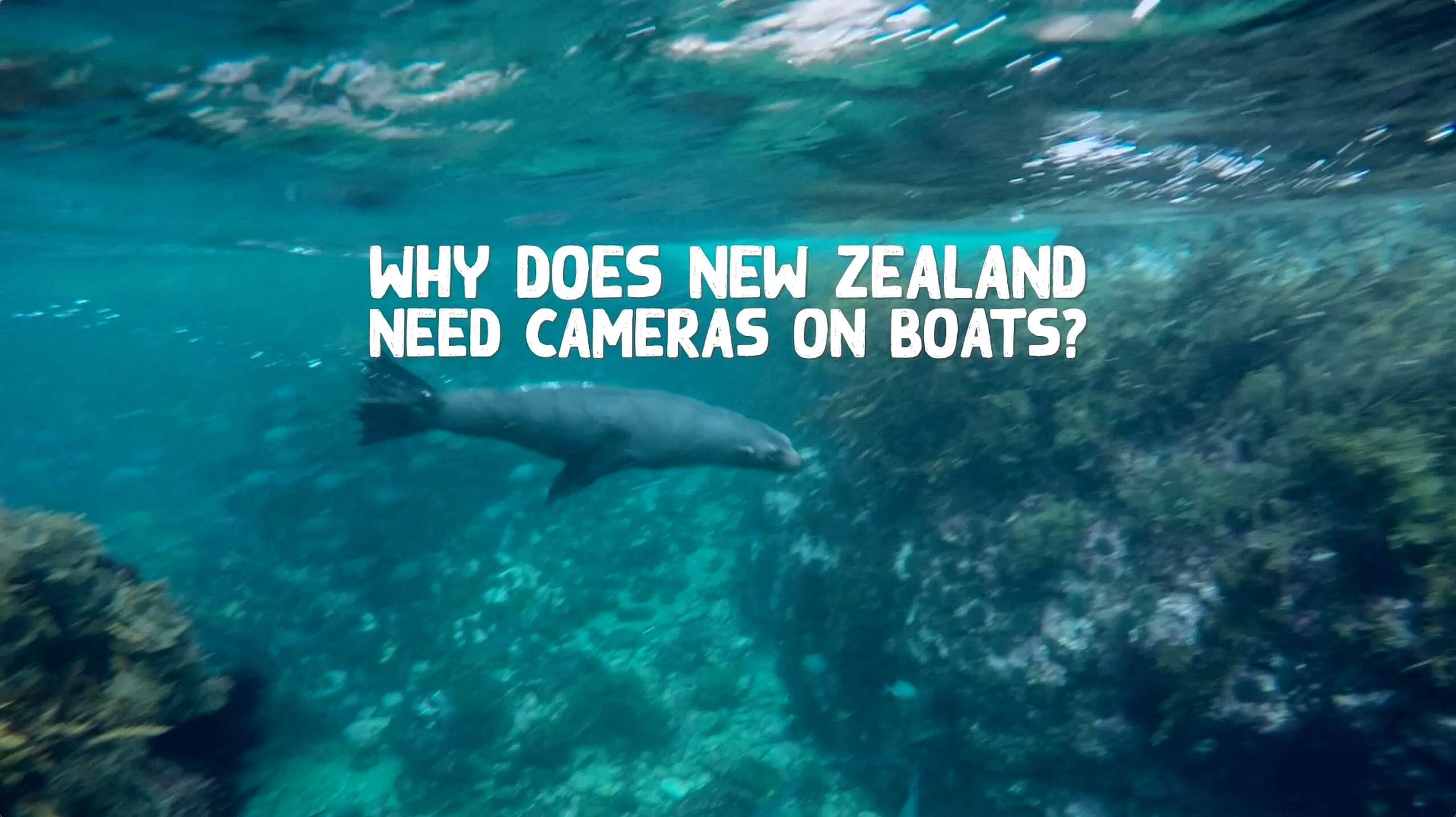 Why we need cameras on boats explained by Mandy Kupenga