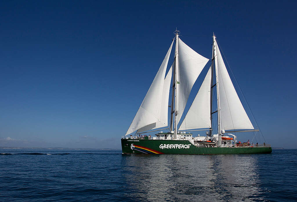 The new Rainbow Warrior ship sailing to Auckland