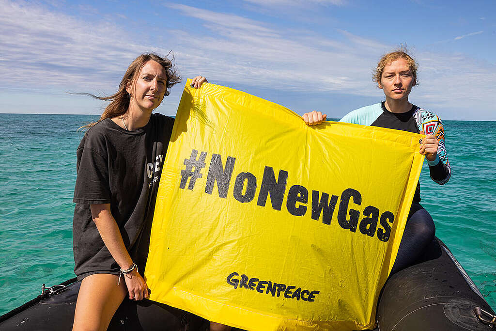 Banner reads No New Gas. As part of the "Whales Not Woodside" tour, Greenpeace is in Shark Bay with Dr Olaf for research and underwater documentation. Greenpeace Australia activists hold a banner that reads No New Gas. As part of the "Whales Not Woodside" tour, Greenpeace was in Shark Bay to do research and underwater documentation where Woodside Energy plans to establish a new gas drilling site.