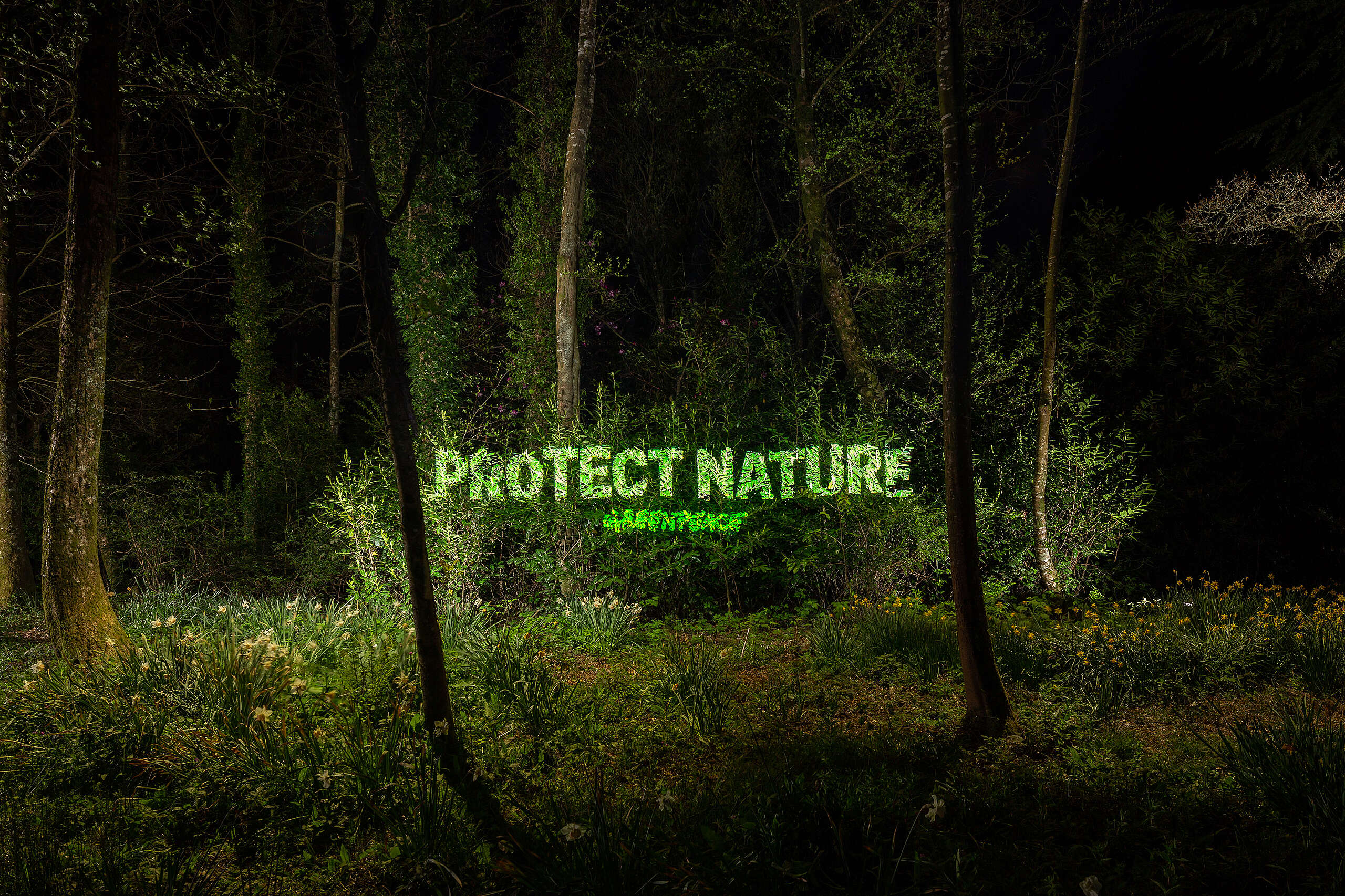 news-stories-greenpeace-aotearoa