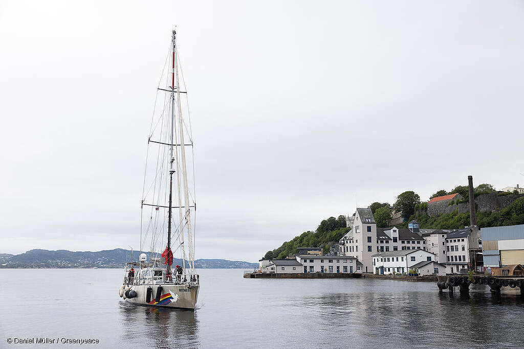 Greenpeace Nordic and Greenpeace Germany, together with scientists and campaigners, are launching an Arctic expedition to study endangered marine mammals in the planned deep-sea mining area in Norway.