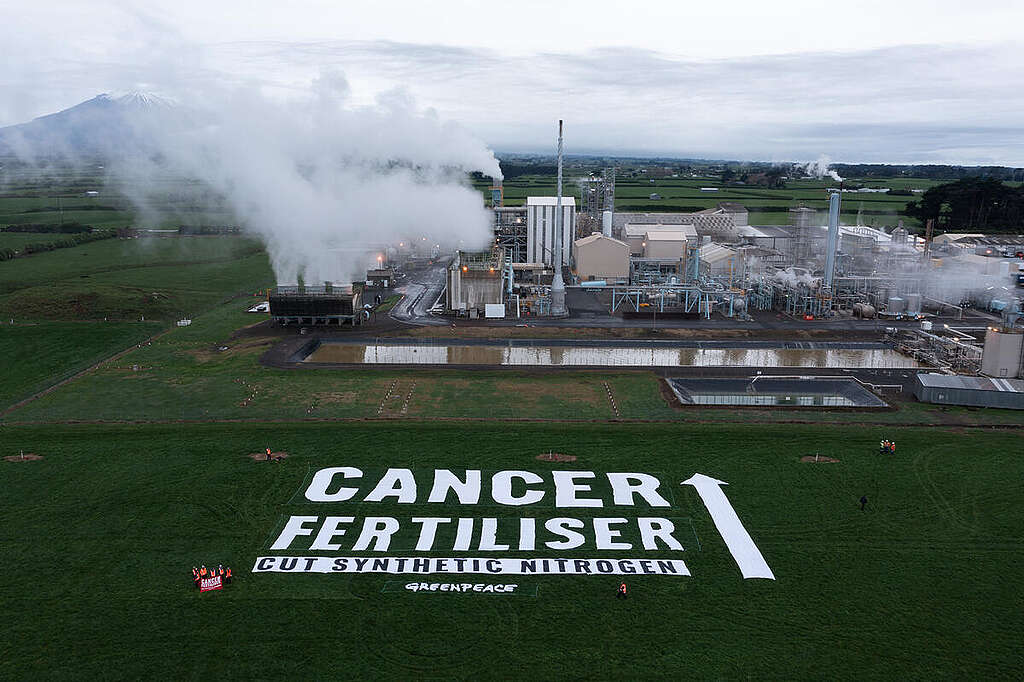 A giant Cancer Fertiliser Banner outside the Kapuni fertiliser factory in South Taranaki, New Zealand. The banner reads: CANCER FERTILISER - CUT SYNTHETIC NITROGEN. © Greenpeace / Ben Sarten A giant Cancer Fertiliser Banner outside the Kapuni fertiliser factory in South Taranaki, New Zealand. The banner reads: CANCER FERTILISER - CUT SYNTHETIC NITROGEN. © Greenpeace / Ben Sarten
