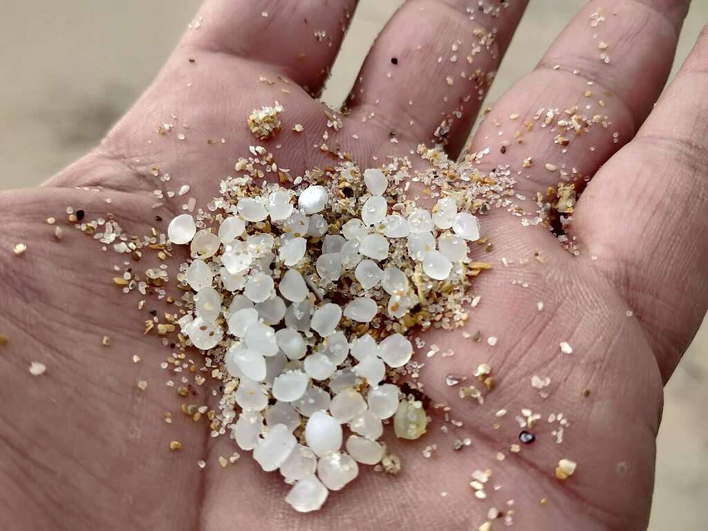 Millions of Plastic Pellets Spilled from Freight Ship in Galicia, Spain. © Greenpeace / Manoel Santos Small white plastic balls found washed up on a beach © Greenpeace / Manoel Santos