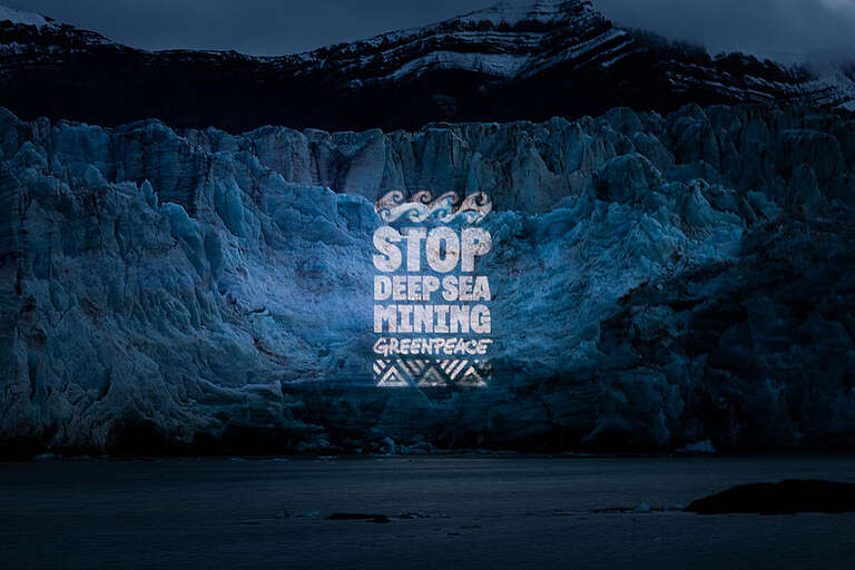 Gambling with the deep sea: Those betting on mining the Arctic