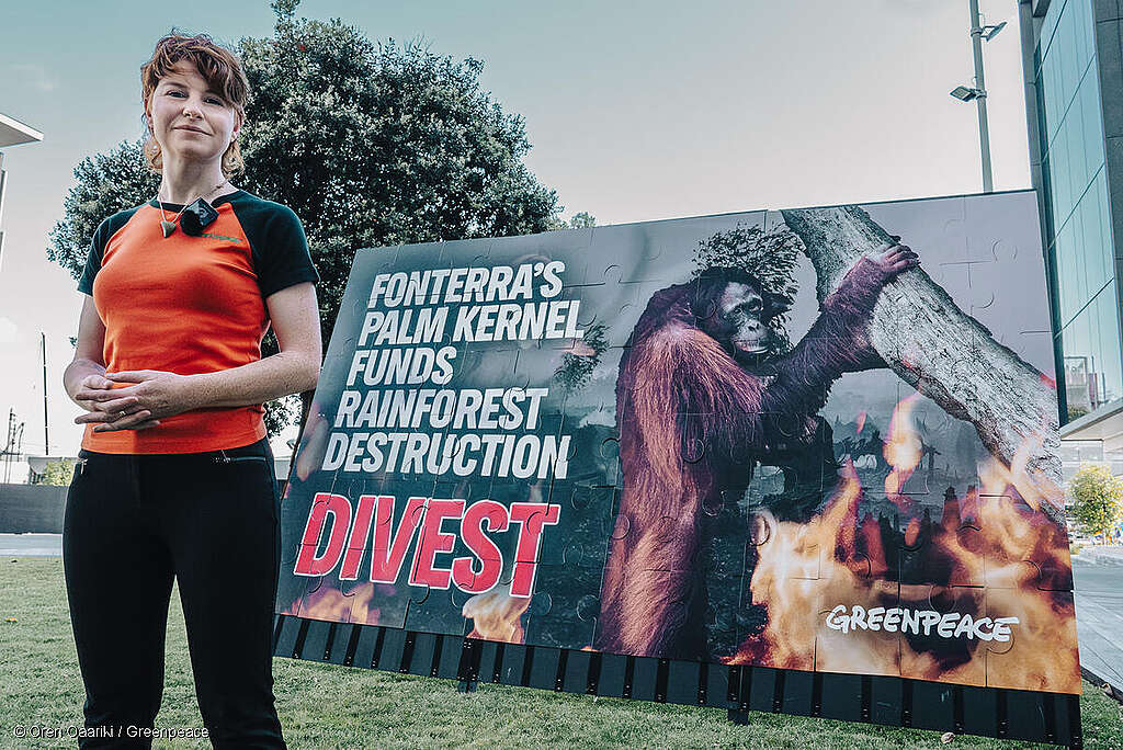 As Fonterra’s external investors met at the corporation’s Auckland HQ, Greenpeace supporters pieced together a giant puzzle revealing the cost of Fonterra’s use of palm kernel as cow feed – rainforest destruction and loss of rare wildlife in Southeast Asia. © Oren Oaariki / Greenpeace