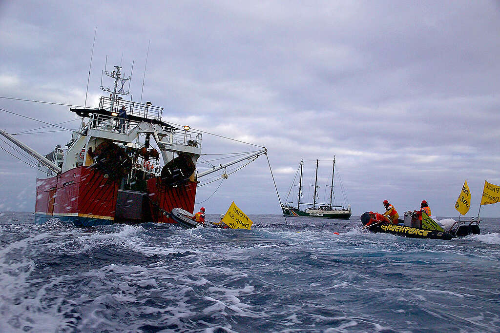 Greenpeace activists attach bouys to the end of the trawl net from the deep sea bottom trawler Ocean Reward. The Rainbow Warrior is in the background. The activists display banners reading "Protect Deep Sea Life."
