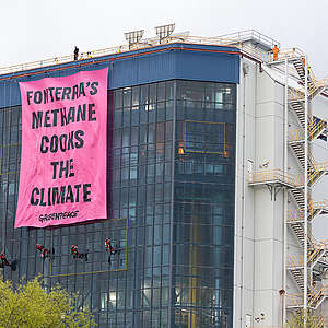 Five Greenpeace New Zealand climbers scale the Te Rapa Fonterra milk processing factory to unfurl a 160 square metre banner reading "Fonterra methane cooks the climate".