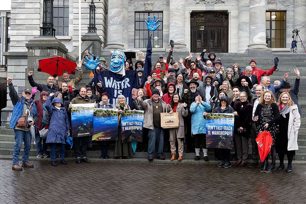 A group of people from the "Save our Springs" petition hand in stand on the steps of the Beehive. They hold signs saying DONT FAST TRACK TE WAIKOROPUPŪ