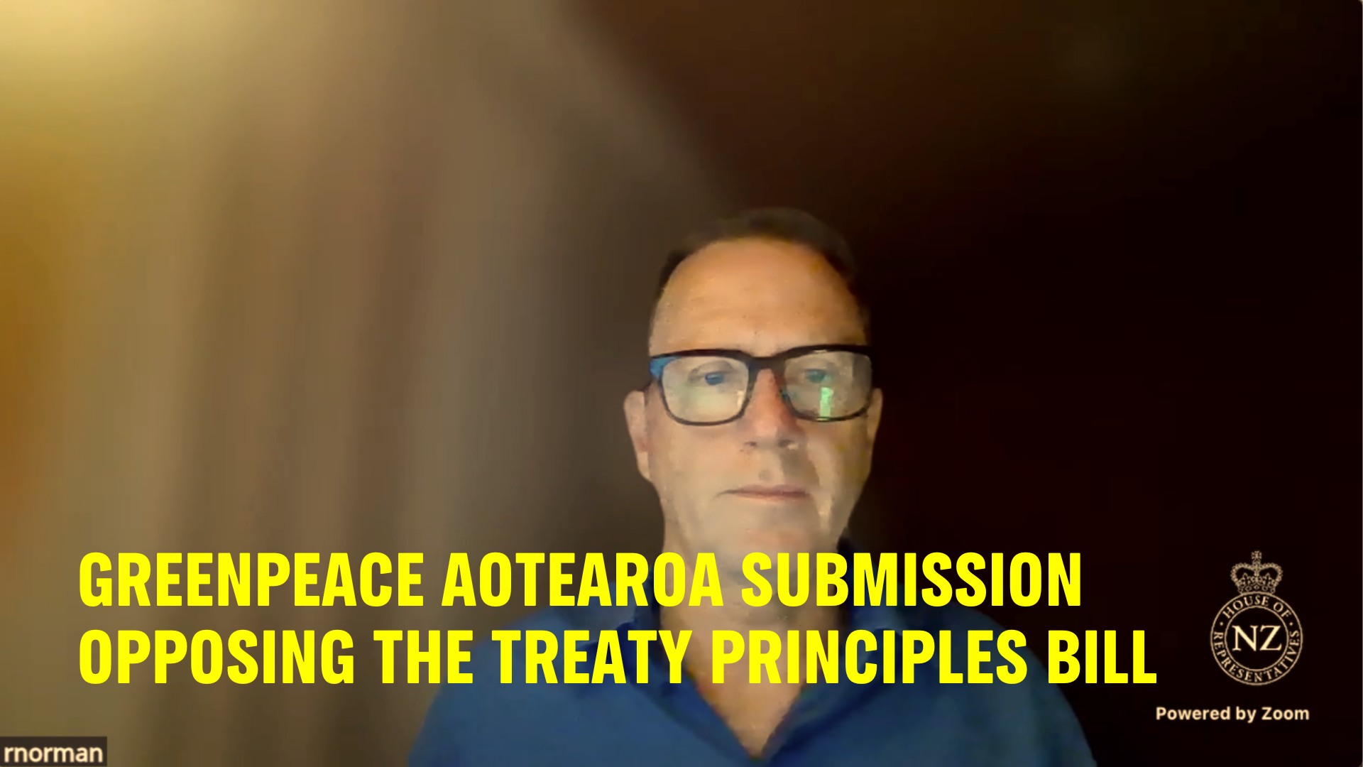 Russel Norman delivers the Greenpeace Aotearoa submission on the Treaty Principles Bil