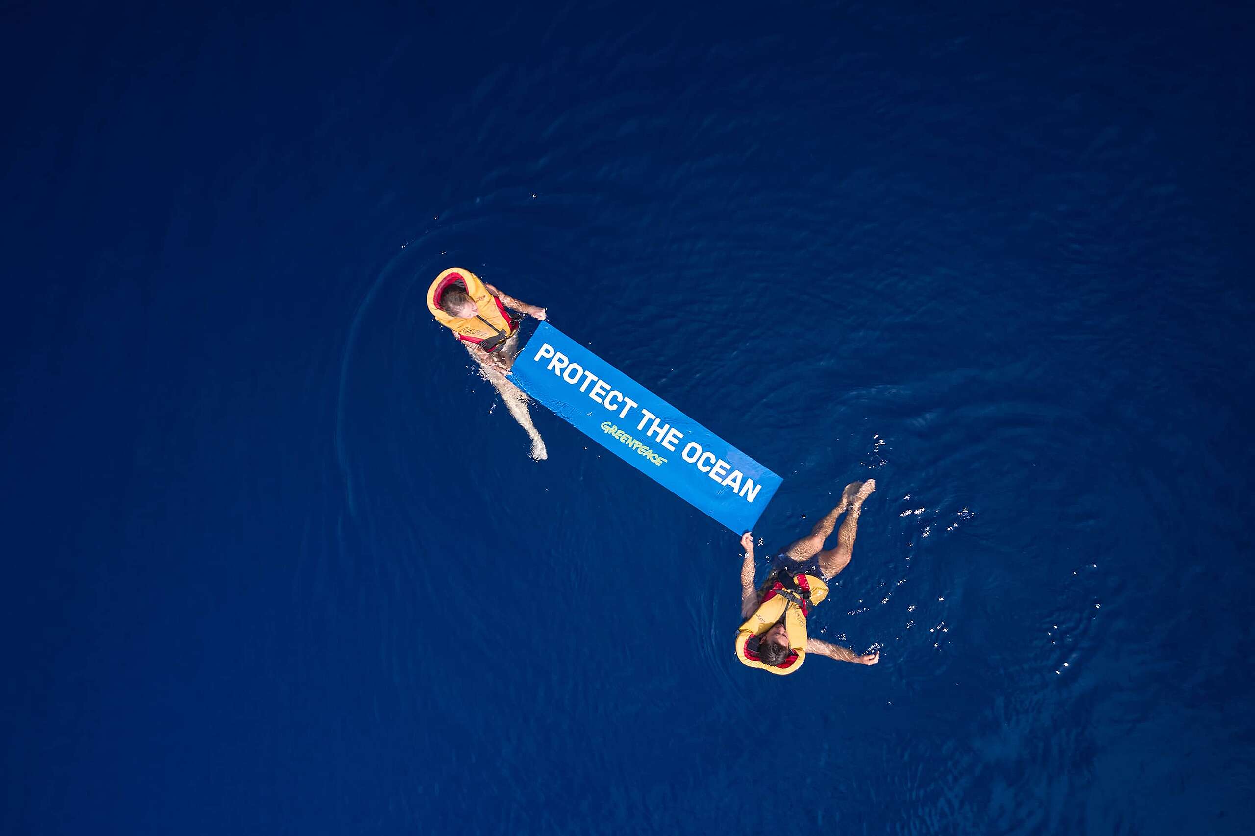 Two people swimming in deep blue water in the Lord Howe Rise region of the South Pacific, hold a banner that reads Protect The Ocean