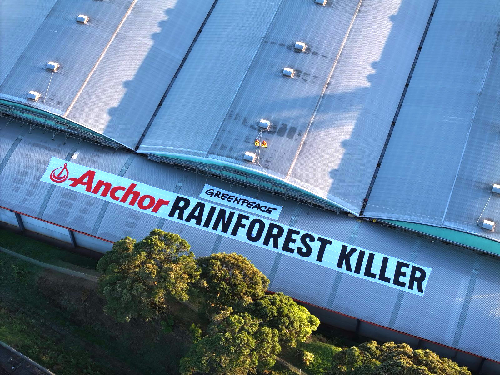 ‘Anchor Rainforest Killer’ palm kernel protest continues in New Plymouth