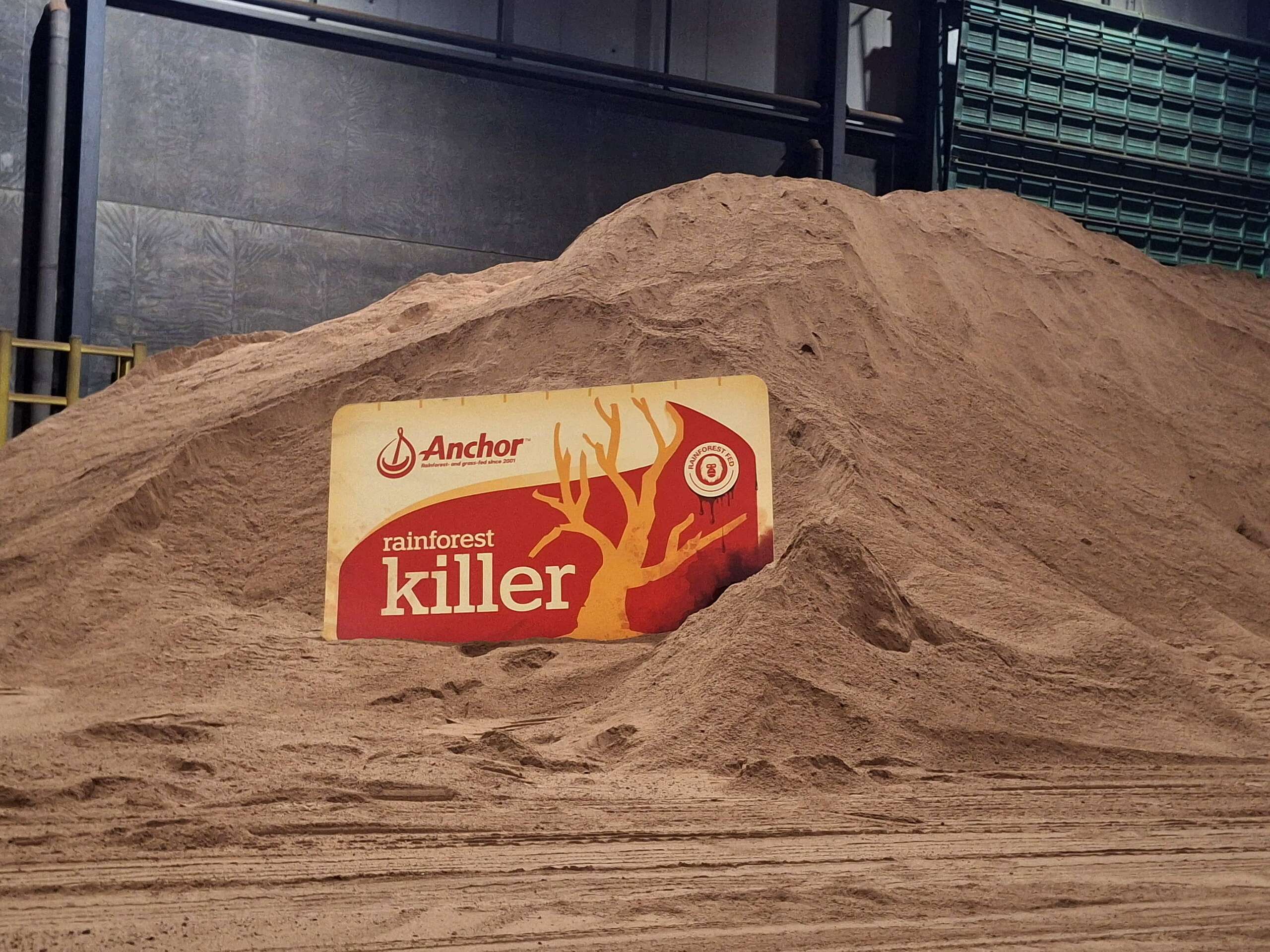 Taranaki: Greenpeace activists stop unloading of palm kernel sourced from Indonesian rainforests