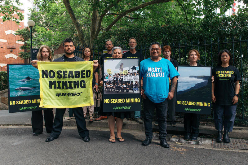 Activists holding up banners reading No Seabed Mining.