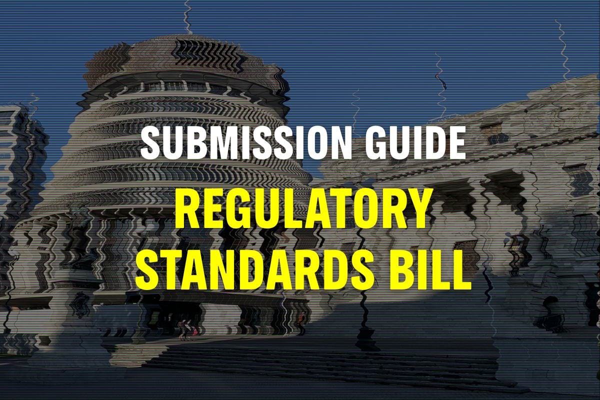 Regulatory Standards Bill submission guide