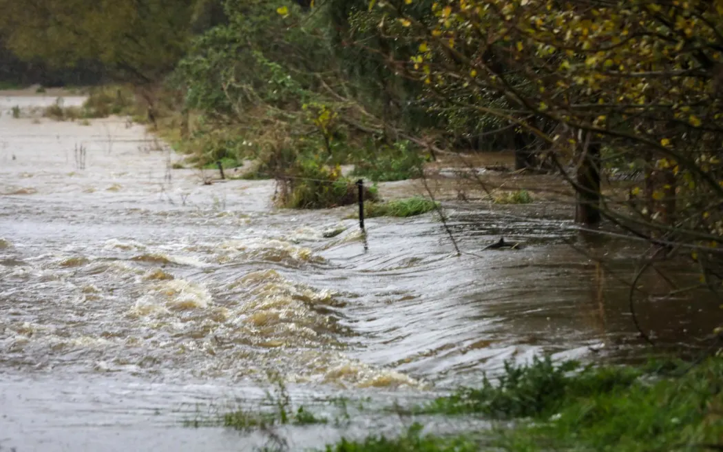 Greenpeace calls on Luxon to show leadership on dairy pollution as Canterbury floods highlight growing climate crisis