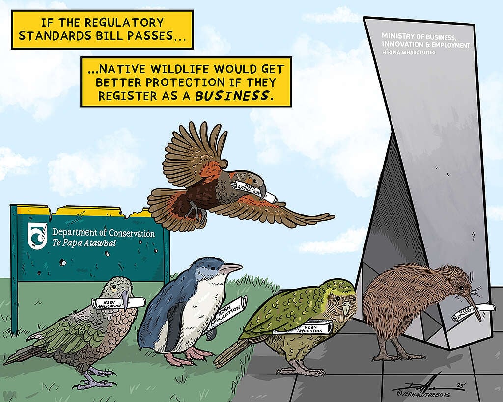A cartoon shows native birds lining up in front of the Ministry of Business holding business registration applications. A neglected DOC sign is behind them.