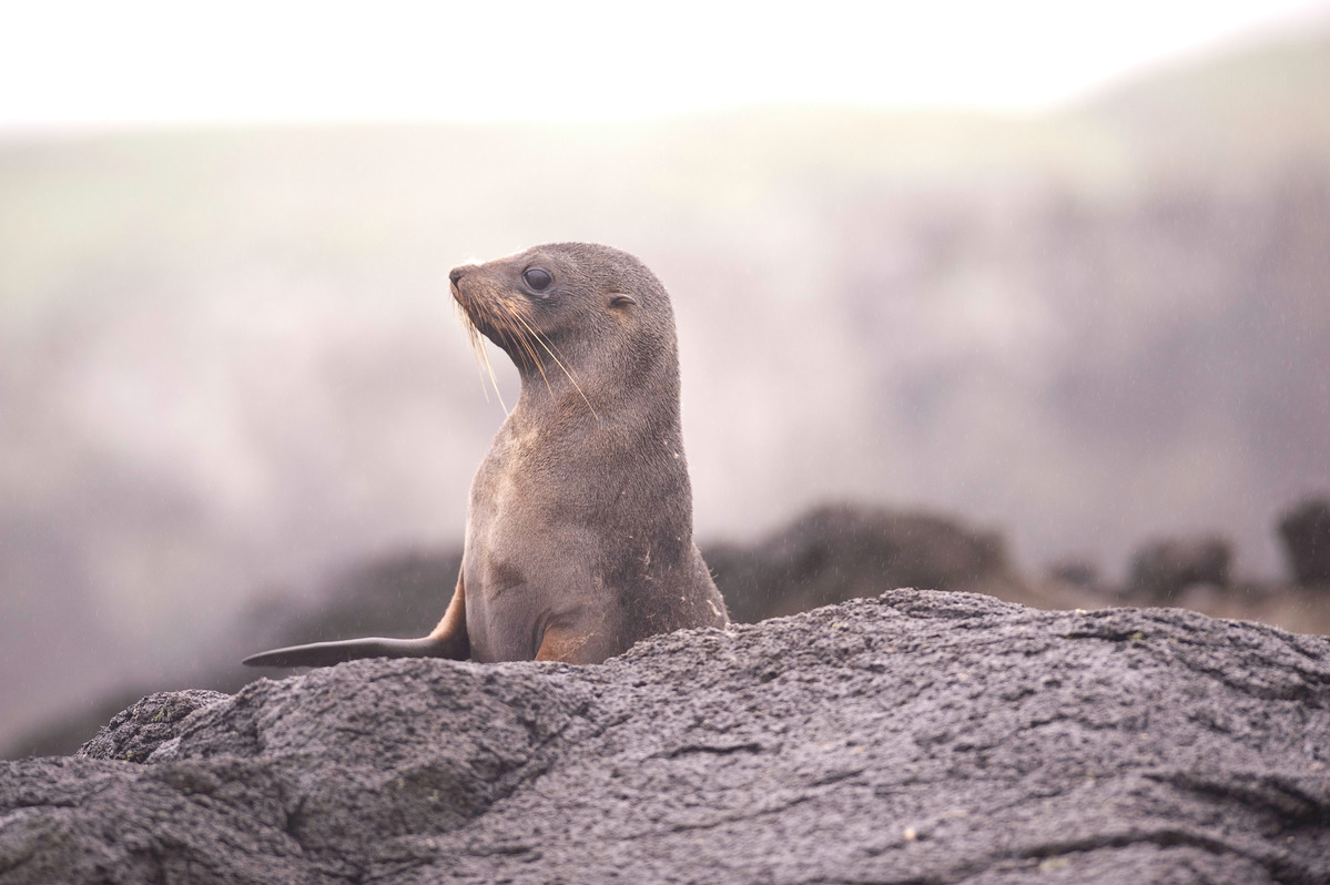 Latest trawl bycatch numbers a grim wake-up call