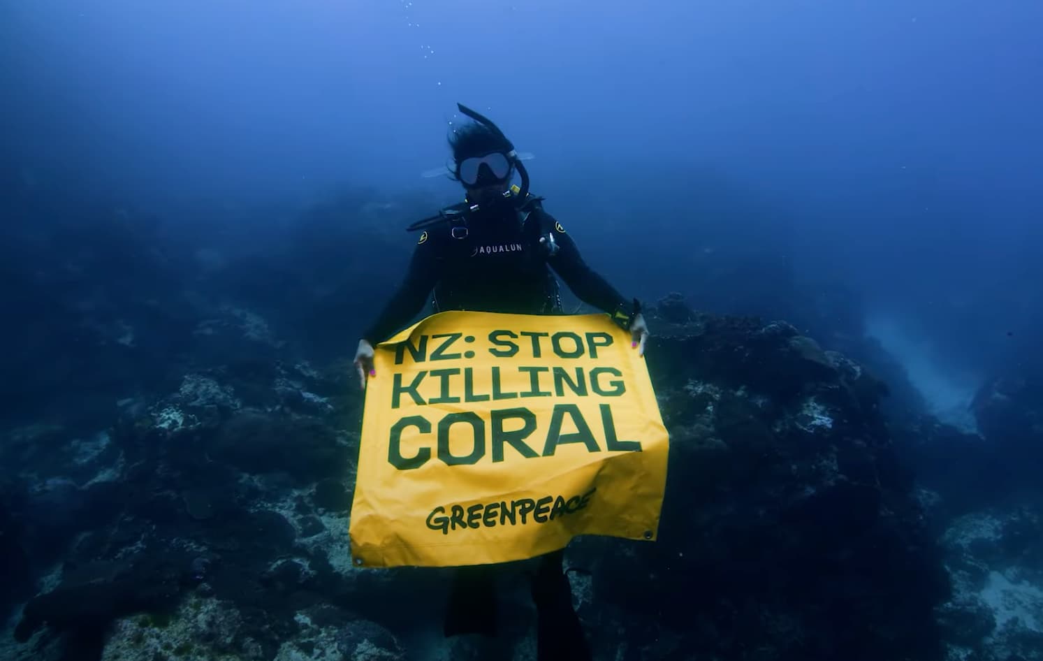 What’s at stake: The beauty of the Tasman Sea