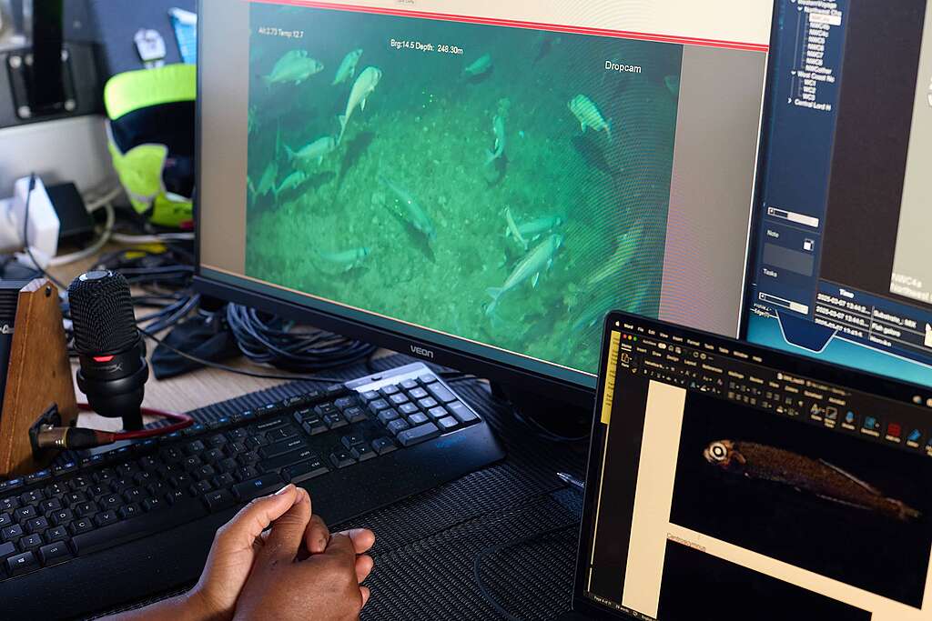 A computer monitor showing images of fish during the deep sea Greenpeace Seamount Expedition to survey seamounts A computer monitor showing images of fish during the deep sea Greenpeace Seamount Expedition to survey seamounts
